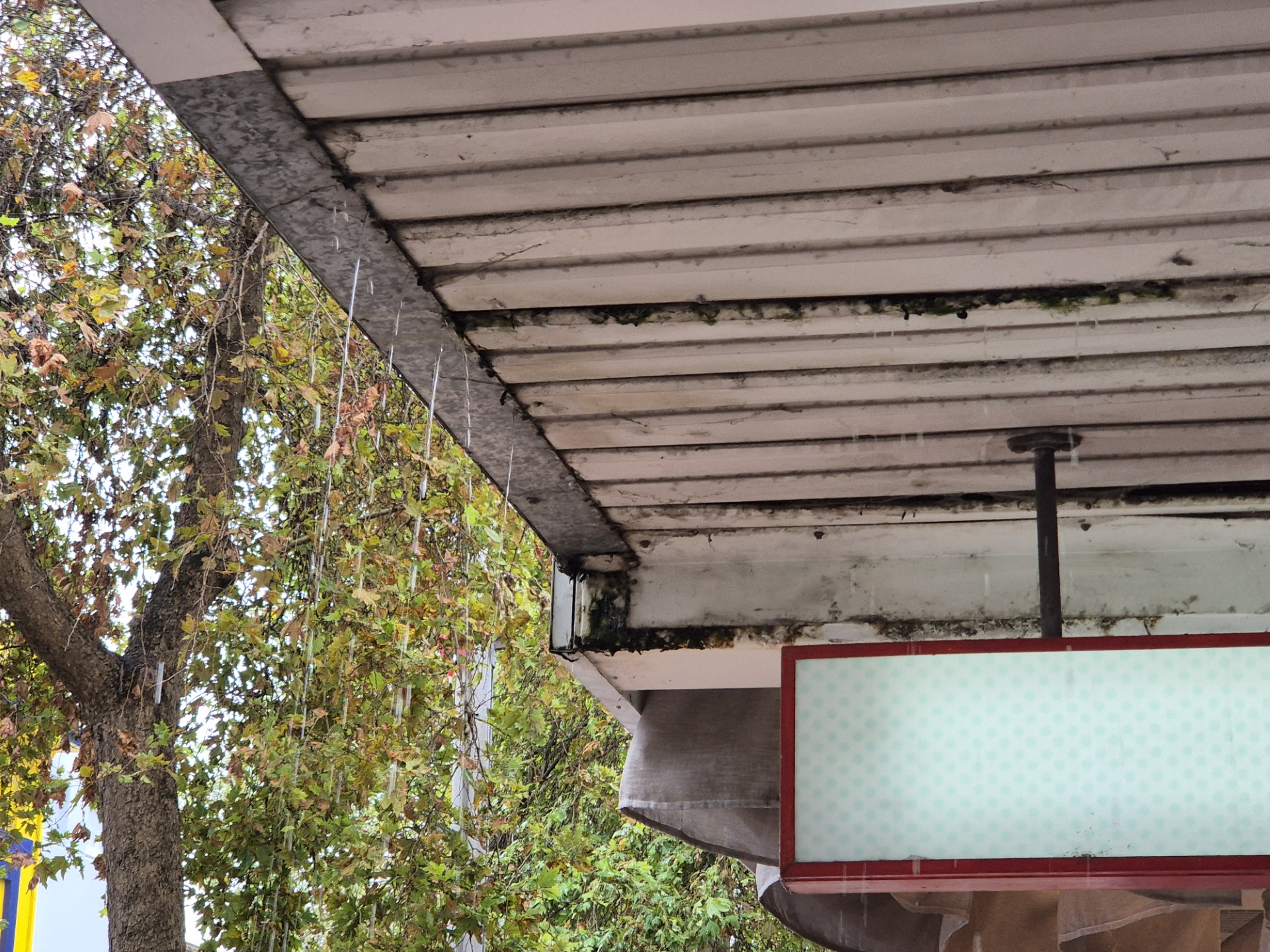 Corroded shop awning frame with black mold and algae staining and water dripping from the edge